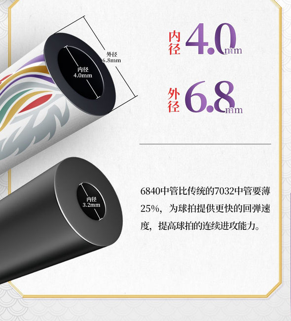 VS Mighty Lion Badminton Racket (White)