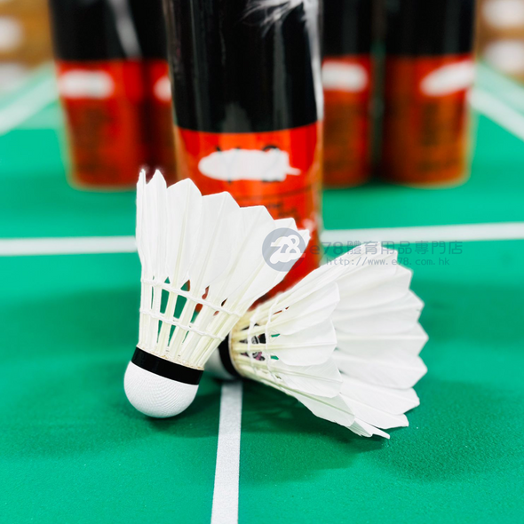 YUNE Y2 Badminton Shuttlecocks