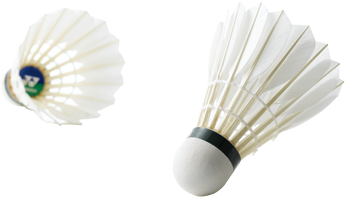 Yonex Aerosensa 10 羽毛球– e78shop