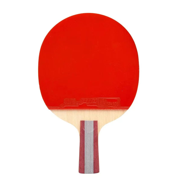 DHS 乒乓球拍 H5006