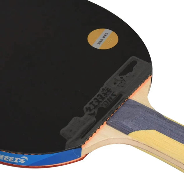 Raquette de tennis de table DHS H5006
